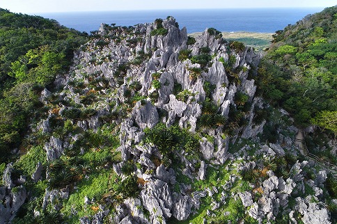 ASMUI Spiritual Hikes(구) 대이시바야시 산